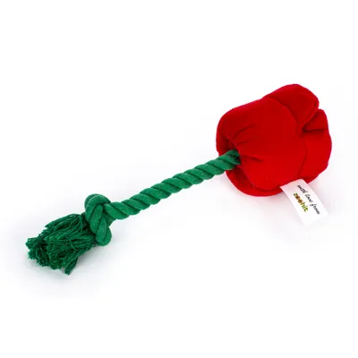 Hračka pre psa v tvare červenej látkovej ruže so zeleným bavlneným lanom, štítok s nápisom 'zooplus'.