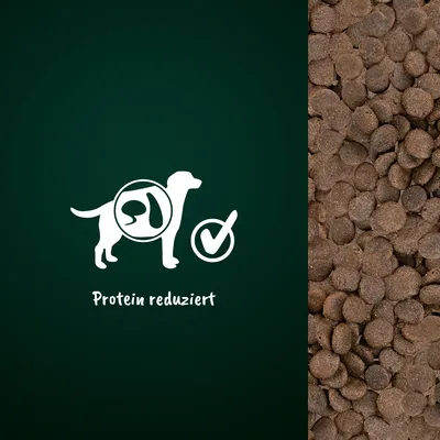 Symbol eines Hundes mit Verdauungssystem und Text 'Protein reduziert' neben Abbildung von braunen Kroketten.