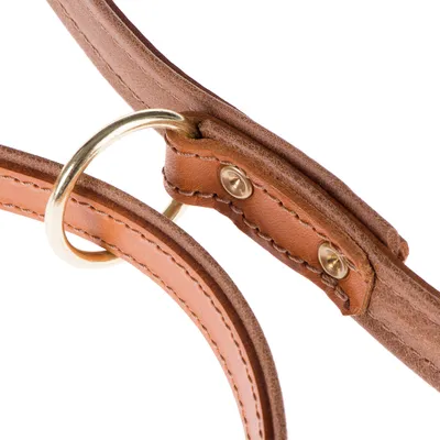 Close-up of a brown leather collar with gold-coloured metal ring and sturdy rivets. High-quality workmanship visible.