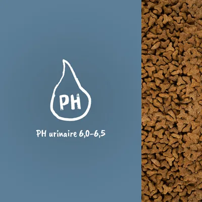 PH urinaire 6,0–6,5 indiqué sur l’image avec croquettes visibles à droite. Texte en français belge.