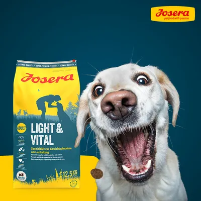 Sac Josera Light & Vital 12,5 kg pour chien adulte, texte visible : spécialité pour perte et maintien du poids. Chien beige en gros plan à droite, croquette devant la gueule.