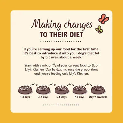 Lily’s Kitchen feeding guide: mix 4/5 current food with 1/5 Lily’s Kitchen, gradually increase over 9 days until only Lily’s Kitchen is fed. Illustrated bowls for each stage.