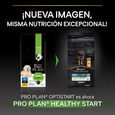 Comparativa de envases: Purina Pro Plan Optistart cambia a Pro Plan Healthy Start para cachorros Large Robust. Texto: ¡Nueva imagen, misma nutrición excepcional!
