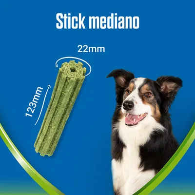 Stick mediano para perros, longitud 123 mm y diámetro 22 mm, junto a un perro de tamaño mediano. Texto visible: Stick mediano, 123 mm, 22 mm.