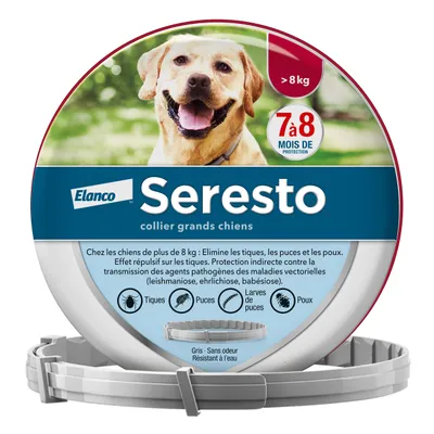 Seresto collier grands chiens Elanco, >8 kg, 7 à 8 mois de protection contre tiques, puces, larves de puces et poux. Gris, sans odeur, résistant à l’eau. Texte explicatif visible.