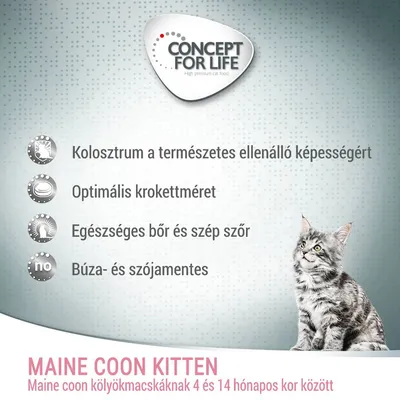 Concept for Life. Kolosztrum a természetes ellenálló képességért, optimális krokettméret, egészséges bőr és szép szőr, búza- és szójamentes. Maine coon kölyökmacskáknak 4–14 hónapos kor között.