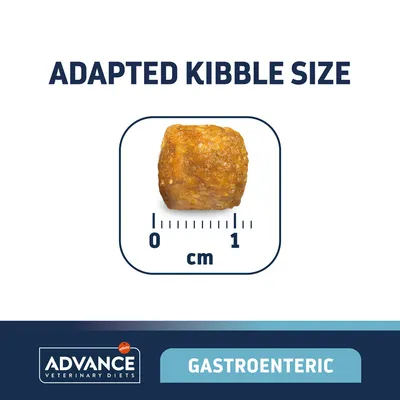 Advance Veterinary Diets Gastroenteric táp szemcseméret: kb. 1 cm, angol szöveg: Adapted Kibble Size, Gastroenteric