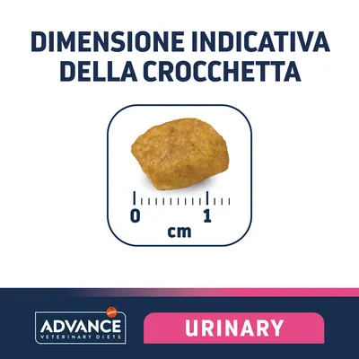 Dimensione indicativa della crocchetta Advance Veterinary Diets Urinary, scala in cm da 0 a 1, crocchetta visibile al centro.
