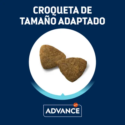 Croqueta de tamaño adaptado Advance affinity, imagen de dos croquetas triangulares sobre fondo blanco con texto destacado en la parte superior.