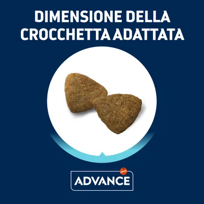 Due crocchette triangolari con testo: 'Dimensione della crocchetta adattata'. Marchio visibile: Advance affinity.