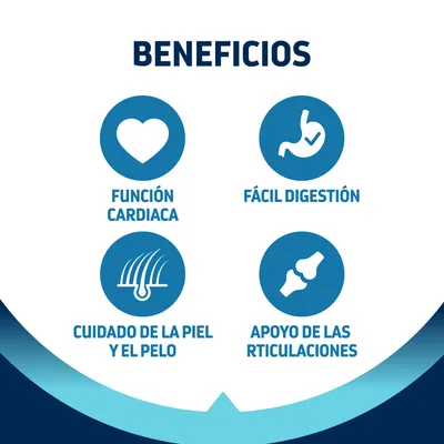 Texto: Beneficios. Función cardiaca, fácil digestión, cuidado de la piel y el pelo, apoyo de las articulaciones.
