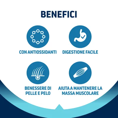 BENEFICI: con antiossidanti, digestione facile, benessere di pelle e pelo, aiuta a mantenere la massa muscolare.