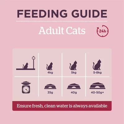 Feeding guide for adult cats: 4kg cat needs 35g, 5kg cat needs 40g, 5-8kg cat needs 40-50g+ food per day. Ensure fresh, clean water is always available.
