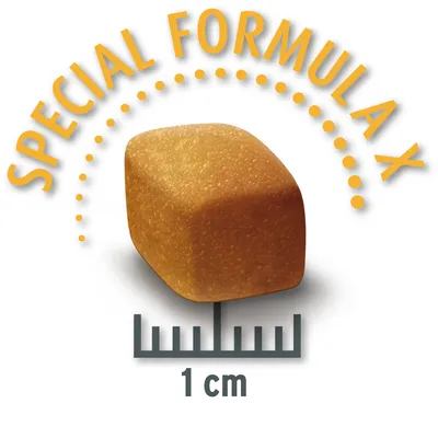 Tuotekuva kuutiosta, jossa teksti 'Special Formula X' ja mitta 1 cm.