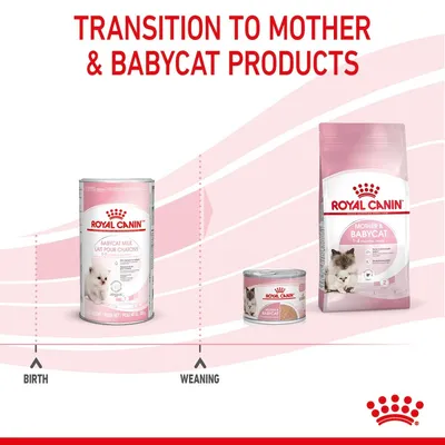 Transition to mother and babycat products. Shows progression from babycat milk at birth to mother and babycat food at weaning, with images of each product type.