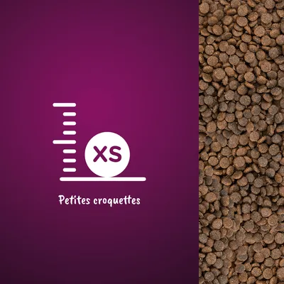 Visuel de croquettes avec texte : XS Petites croquettes, à côté d’un tas de petites croquettes rondes marron.