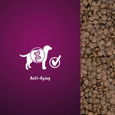 Anti-Aging-Formel für Hunde, dargestellt mit DNA-Symbol und Häkchen. Rechts Abbildung von braunen Trockenfutterstücken.