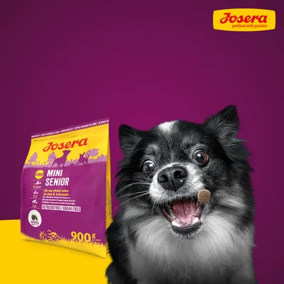 Josera Mini Senior Hundefutter, getreidefrei, 900g. Für ein vitales Leben ab dem 8. Lebensjahr. Abgebildet mit einem kleinen Hund und einer Futterkrokette.