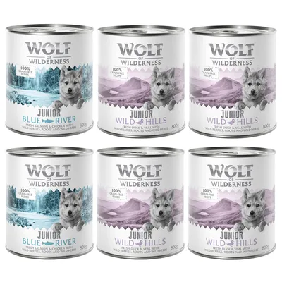 Six cans of Wolf of Wilderness Junior wet food, Blue River with salmon and chicken, Wild Hills with duck and veal, labelled 100% grain-free recipe, each can 800g.