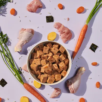 Bowl of cubed pet food surrounded by raw chicken pieces, carrots, carrot slices, rice grains, seaweed squares and yellow root vegetables, showing visible ingredients.