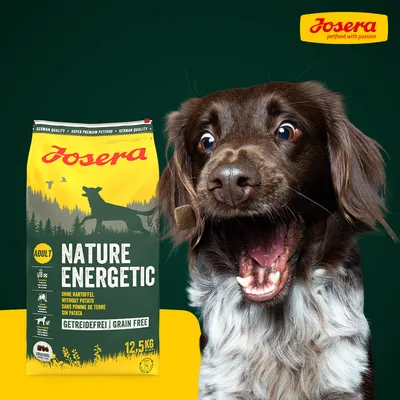 Saco de pienso Josera Nature Energetic Adult sin patata, sin cereales, 12,5 kg. Texto visible en inglés, alemán y francés. Perro marrón junto al producto.