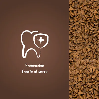 Prevención frente al sarro