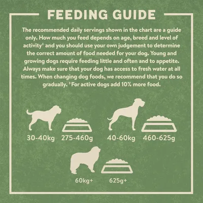Feeding guide: 30-40kg, 275-460g; 40-60kg, 460-625g; 60kg+, 625g+. For active dogs add 10% more food. Ensure access to fresh water and change foods gradually.