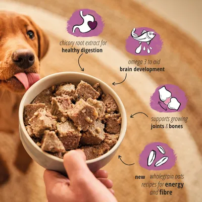 Image highlights chicory root extract for healthy digestion, omega 3 for brain development, support for joints and bones, and new wholegrain oats recipes for energy and fibre.