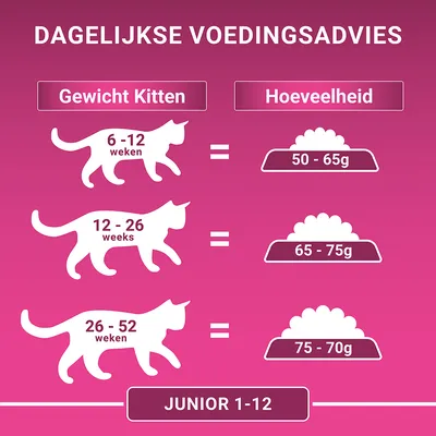 Dagelijkse voedingsadvies kittens: 6–12 weken 50–65g, 12–26 weken 65–75g, 26–52 weken 75–70g. Junior 1-12.