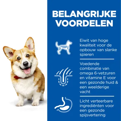 Belangrijke voordelen: eiwit van hoge kwaliteit voor slanke spieren, omega 6-vetzuren en vitamine E voor huid en vacht, licht verteerbare ingrediënten voor gezonde spijsvertering.