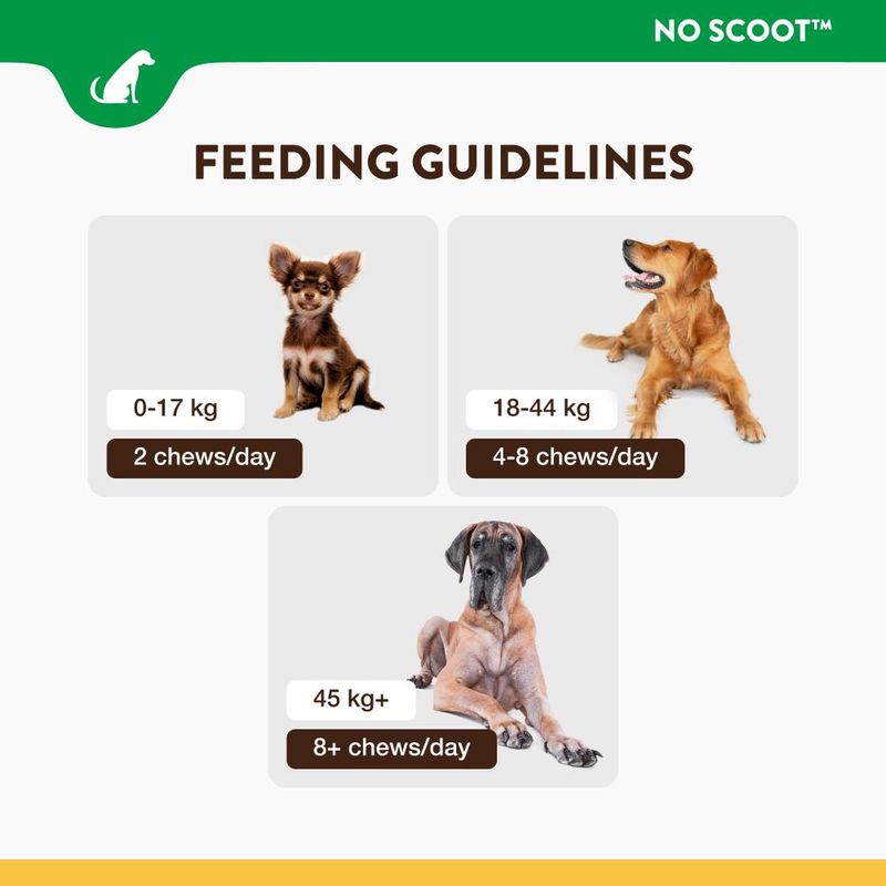 NaturVet No Scoot