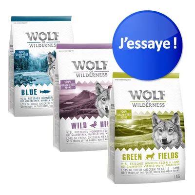Trois sacs de croquettes Wolf of Wilderness : Blue, Wild Hills, Green Fields, 100 % grain-free recipe. Pastille bleue avec texte « J’essaye ! » en haut à droite.