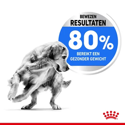 Bewezen resultaten: 80% bereikt een gezonder gewicht