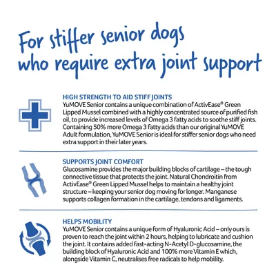 Texto en inglés: beneficios de YuMOVE Senior para perros mayores con articulaciones rígidas, destacando fuerza, comodidad articular y movilidad. Incluye detalles sobre ingredientes y efectos.