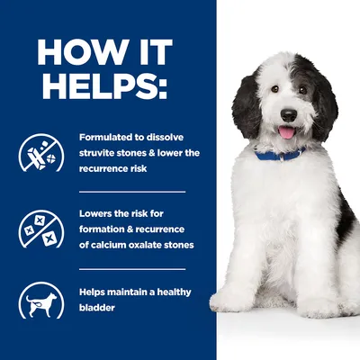 How it helps: formulated to dissolve struvite stones and lower recurrence risk, lowers risk of calcium oxalate stones, helps maintain a healthy bladder. Dog shown beside text.