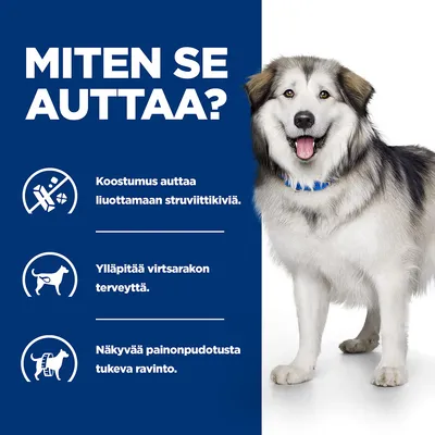 Teksti: Miten se auttaa? Koostumus auttaa liuottamaan struviittikiviä. Ylläpitää virtsarakon terveyttä. Näkyvää painonpudotusta tukeva ravinto. Kuvassa koira.