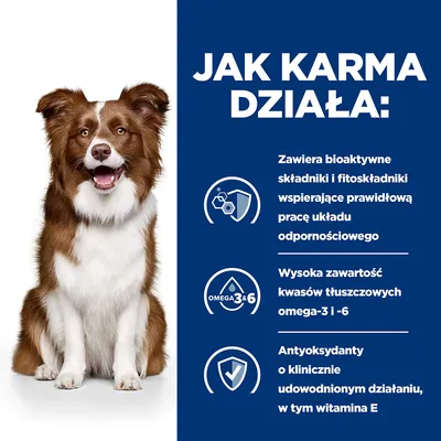 Jak karma działa: zawiera bioaktywne składniki i fitoskładniki wspierające odporność, wysoka zawartość kwasów omega-3 i -6, antyoksydanty w tym witamina E.