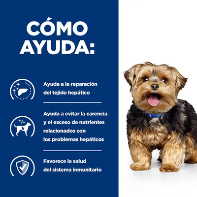 Texto: Cómo ayuda. Ayuda a la reparación del tejido hepático. Ayuda a evitar la carencia y el exceso de nutrientes relacionados con los problemas hepáticos. Favorece la salud del sistema inmunitario.