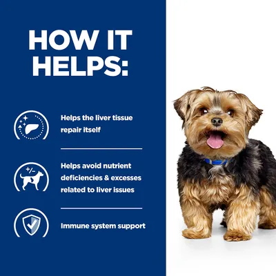 How it helps: supports liver tissue repair, helps avoid nutrient deficiencies and excesses related to liver issues, and provides immune system support. Image includes a small dog.