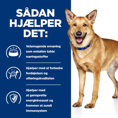 SÅDAN HJÆLPER DET: Velsmagende ernæring som erstatter tabte næringsstoffer. Hjælper med at forbedre fordøjelsen og afføringskvaliteten. Hjælper med at genoprette energiniveauet og fremmer et sundt immunsystem.