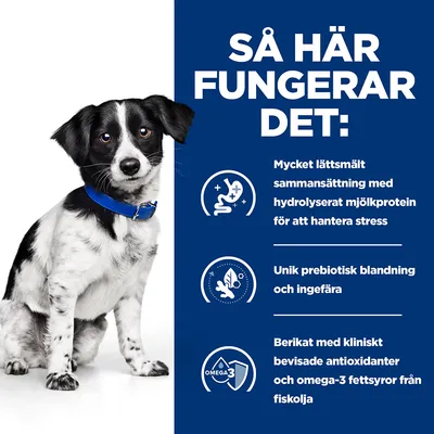 Så här fungerar det: Mycket lättsmält sammansättning med hydrolyserat mjölkprotein, unik prebiotisk blandning och ingefära, berikat med antioxidanter och omega-3 från fiskolja.