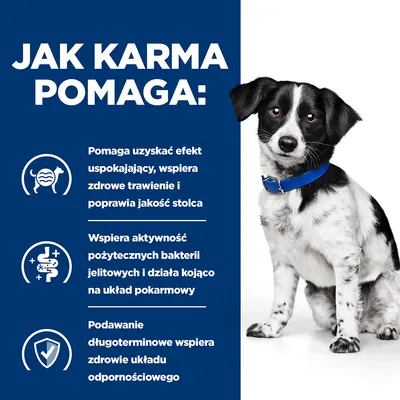 Jak karma pomaga: efekt uspokajający, wsparcie trawienia i jakości stolca, aktywność bakterii jelitowych, długoterminowe wsparcie układu odpornościowego. Obok pies w obroży.