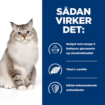 SÅDAN VIRKER DET: Beriget med omega-3 fedtsyrer, glucosamin og chondroitinsulfat. Til­sat L-carnitin. Klinisk dokumenterede antioxidanter. Kat ved siden af tekst.
