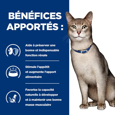 BÉNÉFICES APPORTÉS : aide à préserver une bonne fonction rénale, stimule l’appétit et augmente l’apport alimentaire, favorise le maintien d’une bonne masse musculaire. Chat avec collier bleu.