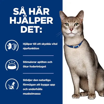 Så här hjälper det: Hjälper till att skydda vital njurfunktion. Stimulerar aptiten och ökar foderintaget. Stödjer den naturliga förmågan att bygga upp och underhålla muskelmassa.