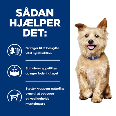Sådan hjælper det: Bidrager til at beskytte vital nyrefunktion, stimulerer appetitten og øger foderindtaget, støtter kroppens naturlige evne til at opbygge og vedligeholde muskelmasse.