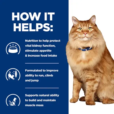 HOW IT HELPS: Nutrition to help protect vital kidney function, stimulate appetite & increase food intake. Formulated to improve ability to run, climb and jump. Supports natural ability to build and maintain muscle mass. (angol nyelvű szöveg)