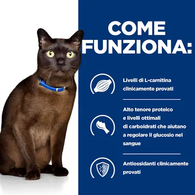 COME FUNZIONA: Livelli di L-carnitina clinicamente provati. Alto tenore proteico e livelli ottimali di carboidrati che aiutano a regolare il glucosio nel sangue. Antiossidanti clinicamente provati.
