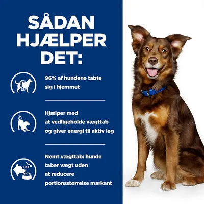 Sådan hjælper det: 96% af hundene tabte sig i hjemmet. Hjælper med at vedligeholde vægttab og giver energi til aktiv leg. Nemt vægttab: hunde taber vægt uden at reducere portionsstørrelse markant.
