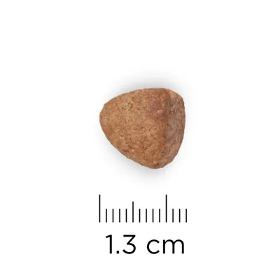 Едно парче суха храна с триъгълна форма, показано до линийка с размер 1,3 см.